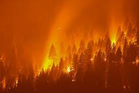 Preparedness In Light Of Recent Fires